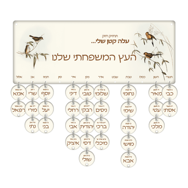 לוח ימי הולדת ציפורים