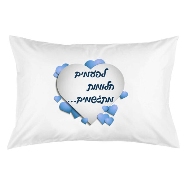 ⁦ציפית לכרית 'לפעמים חלומות מתגשמים'⁩ – תמונה ⁦5⁩
